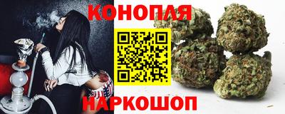 дживик Славгород